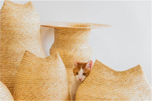 WHECAT